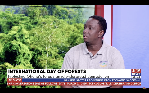 International Day of Forests 2025